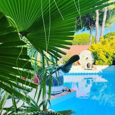 Hebergement Insolite Studio Grau Du Roi Mas Des Marines Piscine Le Grau-du-Roi Exterior foto
