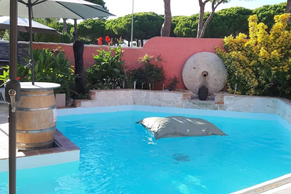 Hebergement Insolite Studio Grau Du Roi Mas Des Marines Piscine Le Grau-du-Roi Exterior foto